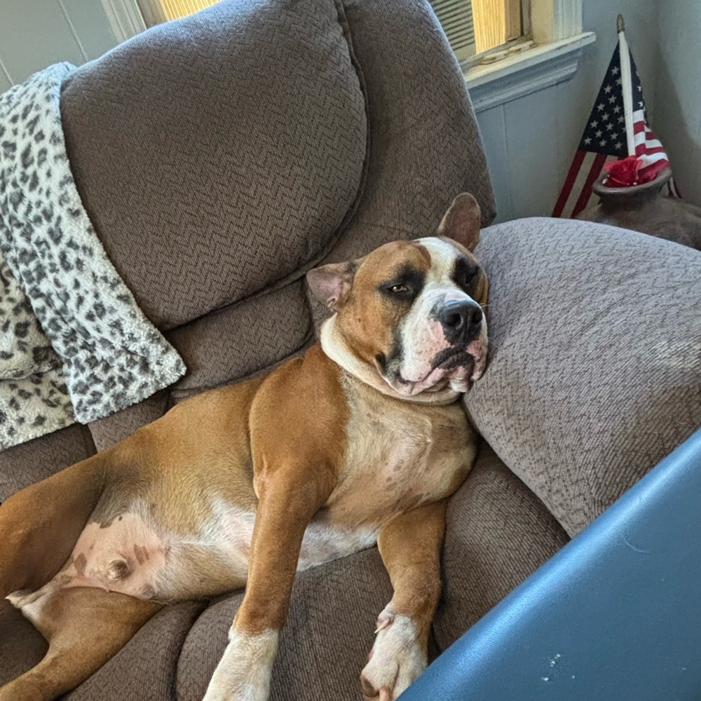 Meet your Posher, Tiffany and Trent